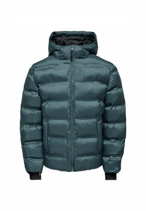 Giacca invernale - blu avio