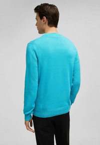 Türkiser Pullover mit langen Ärmeln, Rundhalsausschnitt und geripptem Saum. Glatte Textur, minimalistisch im Design, getragen über schwarzen Hosen.