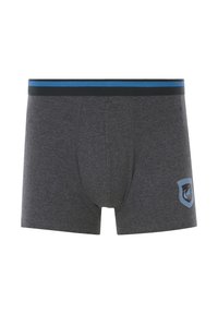 Gray boxer briefs with a black and blue striped waistband. Features a logo on the left thigh. Made of soft fabric with a snug fit.