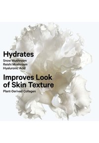 Thumbnail Image 7