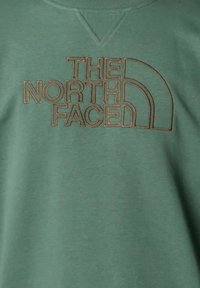Felpa in cotone verde con logo "THE NORTH FACE" in lettere marroni contornate, colletto a girocollo e tessuto testurizzato.