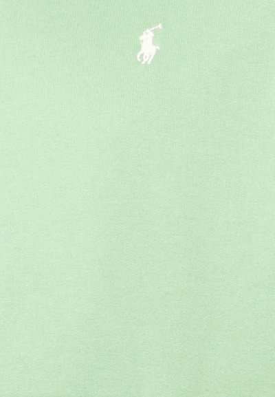 Polo Ralph Lauren Big & Tall THE RL FLEECE HOODIE - Sweatshirt com capuz - outback green