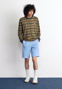 Flerfarget langermet skjorte med grønne, oransje og brune striper; lyseblå shorts; hvite sokker; joggesko. Uformell passform.