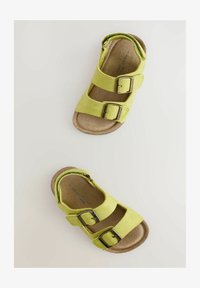 Vybráno, lime green