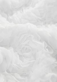 Tissu blanc avec des motifs de roses en couches et texturés, présentant des pétales transparents qui créent une apparence douce et fluide.