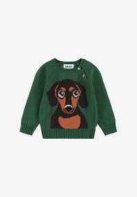 Selected, dachs puppy