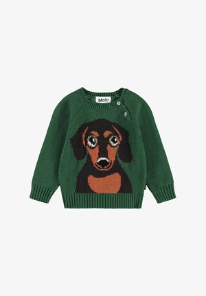 Molo Neule - dachs puppy