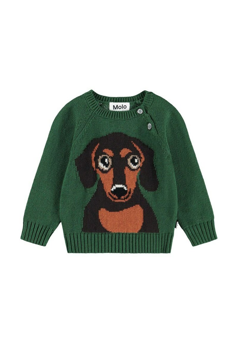 Molo Pullover - dachs puppy