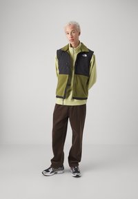 The North Face DENALI VEST - Liemenė - forest olive