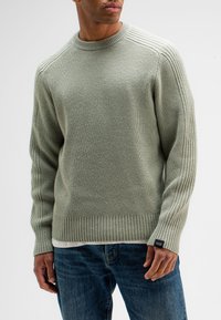 Geselecteerd, dk delphi green