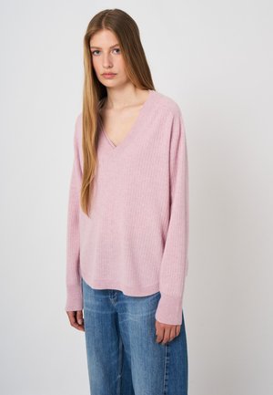 Young woman with long straight hair wearing a light pink V-neck sweater and blue jeans, facing forward against a plain background.