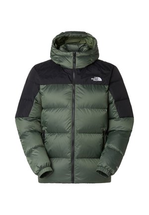 Giubbotto piumino verde isolato con la parte superiore nera, cappuccio, chiusura con zip, polsini elasticizzati e logo sul lato sinistro del petto. Tessuto liscio e lucido.