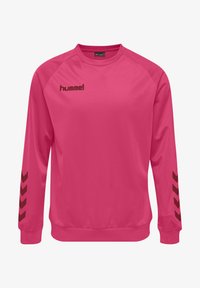 Ausgewählt, raspberry sorbet