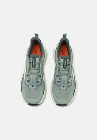 Adidas Terrex TERREX TRAILMAKER  - Turistiniai batai - silver green/linen green/core black