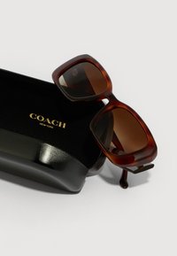 Hnedé oversized štvorcové slnečné okuliare ležiace na čiernej slnečnej cene značky Coach New York na bielej ploche.