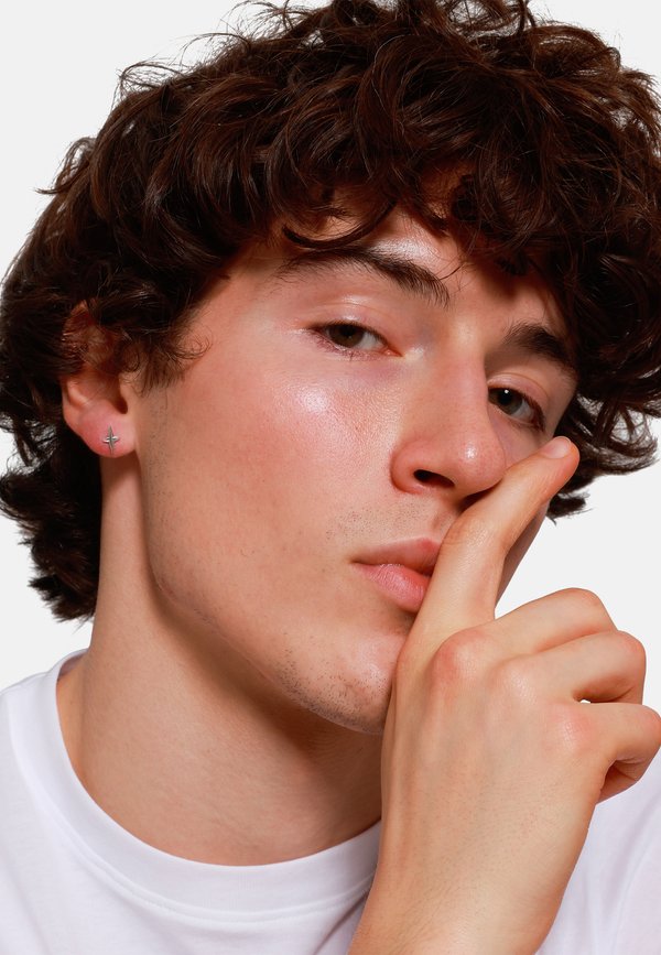 LARRY - Ohrringe - silberfarben poliert