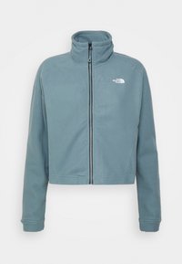 Jasnoniebieska, skrócona polarowa kurtka z wysokim kołnierzem, pełnym zamkiem i logo na lewej piersi. Miękka tekstura i długie rękawy.