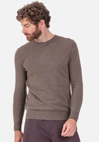 Pull en laine brun clair, col rond, manches longues, poignets et ourlet côtelés, texture douce, coupe ajustée, minimaliste sans motifs.