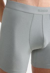 Pánské boxerky v světle šedé barvě, vyrobené z hladké tkaniny s těsným střihem. Obsahují logo na pásku a bezešvou konstrukci.