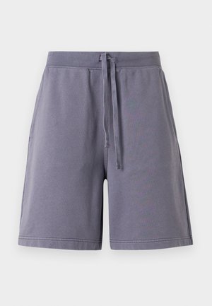 Carhartt WIP, HOGGARD - Σορτς - shady purple garment dyed