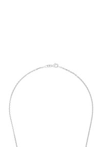 Collana d'argento con un delicato design a catena attorcigliata e un moschettone. Presenta una superficie liscia e lucida senza ulteriori embellimenti.