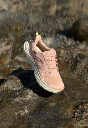 ANACAPA 2 LOW GTX - Hiking shoes - rose latte/truffle salt