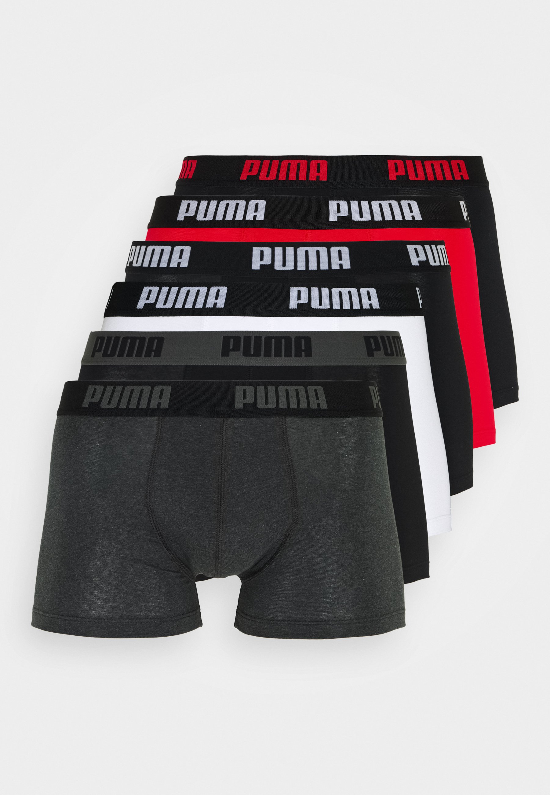 boxer puma