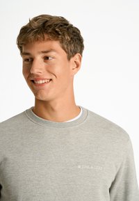 Grå crewneck sweatshirt gjord av mjukt tyg, med en subtil "JUNK de LUXE"-logotyp. Enkel design med klassisk passform och strukturerad yta.