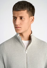 Maglione grigio chiaro a coste con zip e colletto alto. Presenta una zip argentata e una t-shirt bianca sotto. Texture liscia.