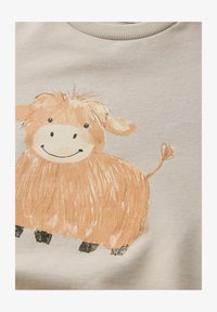 Seleccionado, stone hamish highland cow