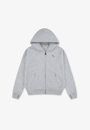 Abercrombie & Fitch ESSENTIALS FULL ZIP - Sweatjacke - light grey heather