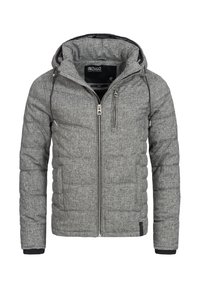 CIRCUS - Winterjacke -  gray