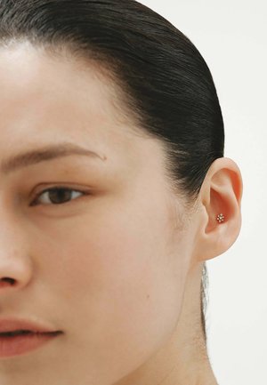 Aristocrazy, Piercings - gold-coloured