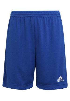 Pantalones cortos deportivos azules hechos de una tela ligera, con una cinturilla elástica y un pequeño logo blanco de Adidas en la parte inferior derecha.