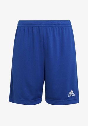 Pantalones cortos deportivos azules hechos de una tela ligera, con una cinturilla elástica y un pequeño logo blanco de Adidas en la parte inferior derecha.