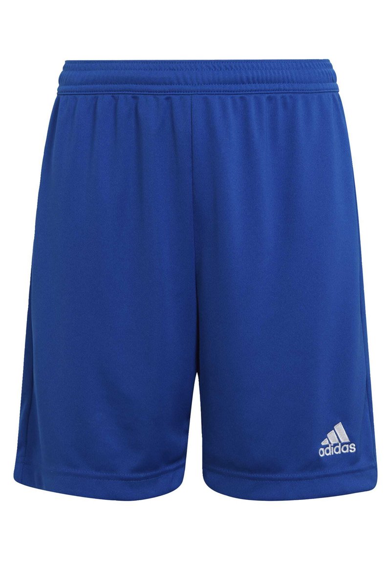 Pantalones cortos deportivos azules hechos de una tela ligera, con una cinturilla elástica y un pequeño logo blanco de Adidas en la parte inferior derecha.