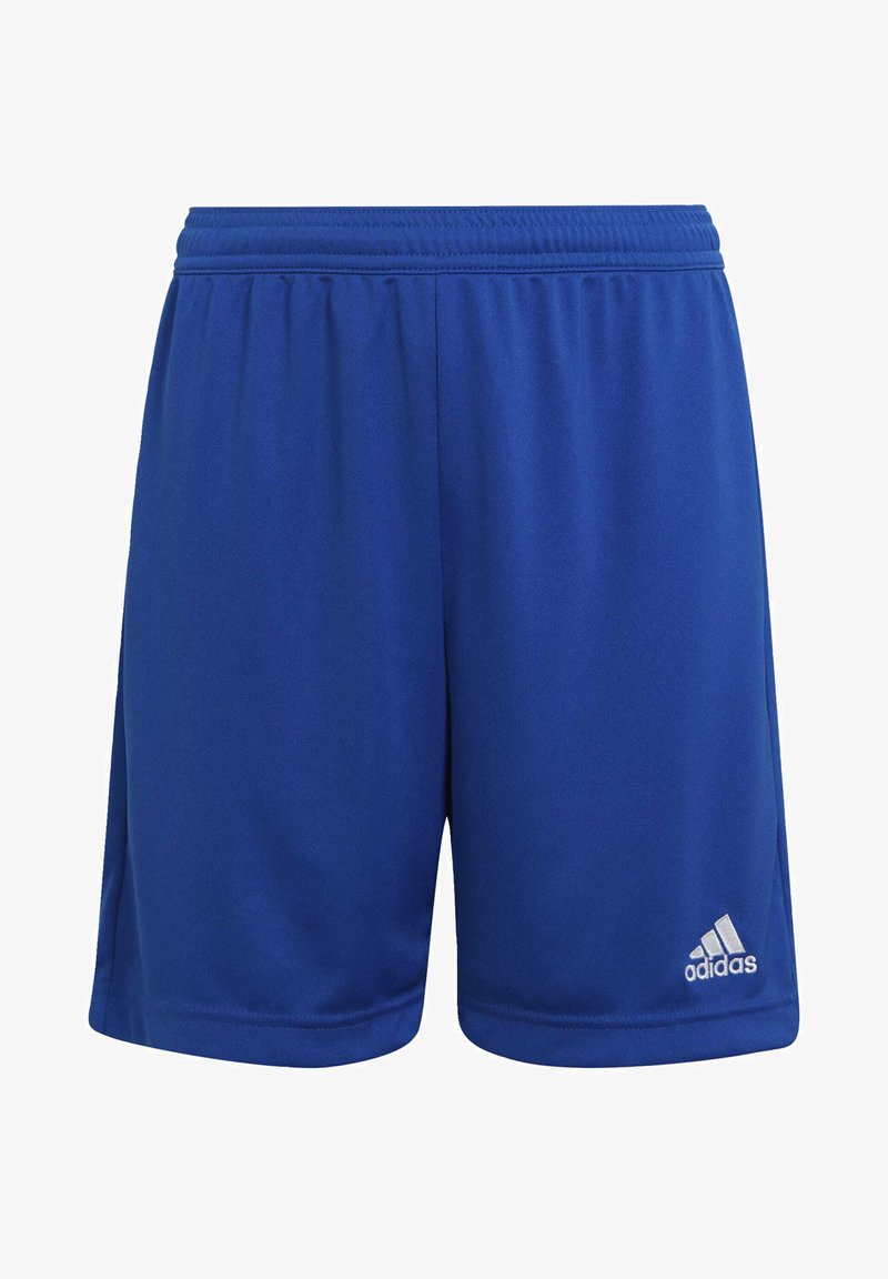 Pantalones cortos deportivos azules hechos de una tela ligera, con una cinturilla elástica y un pequeño logo blanco de Adidas en la parte inferior derecha.