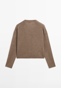 Maglione marrone a maglia con maniche lunghe, design corto e scollatura rotonda. Texture liscia, dettagli minimi sulla schiena.