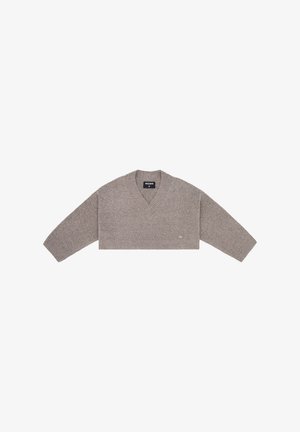 WRSTBHVR, SWEATER CARO - Pullover - driftwood melange