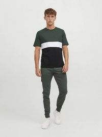 Rohelise, musta ja valge toonis puuvillane t-särk ümmarguse kaelusega, kombineeritud tumeroheliste jalgpükstega, mille külgedel on valged triibud.