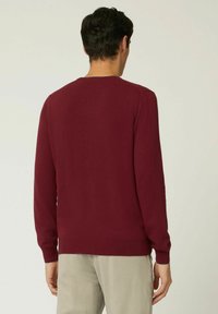 Maglione a girocollo color marrone con maniche lunghe, polsini e orlo a costine, realizzato in materiale morbido. La vista posteriore mostra un design senza cuciture.