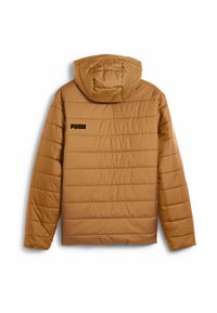 Giacca a vento marrone con cappuccio, caratterizzata da cuciture orizzontali, chiusura con zip e un logo "PUMA" nero sulla parte alta della schiena. Texture liscia.