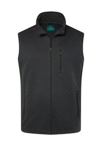 Fodrad svart väst med hög krage, hel dragkedja fram och två fickor med dragkedja; slät textur, modern design och minimaliska detaljer.