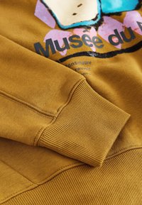 Felpa marrone con polsino a coste, stampa grafica in rosa e blu e dettagli testuali. Texture morbida, design casual.