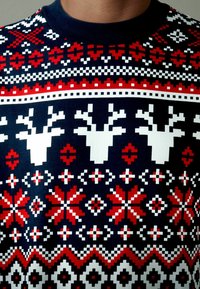 Next CHRISTMAS - Pusa - red blue