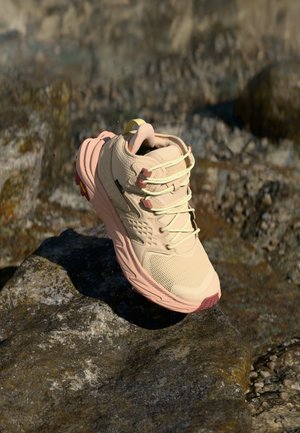 ANACAPA 2 MID GTX - Hiking shoes - oak/rose latte