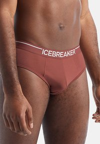 icebreaker ANATOMICA - Slip - BURGUNDY