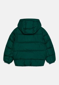 Chaqueta verde acolchada con capucha; cuenta con secciones acolchadas horizontales, puños elásticos y una textura suave y brillante. Solo vista trasera.