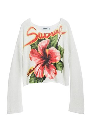 Desigual SABRINA - Jumper - beige
