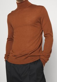 Tiger of Sweden Strickpullover - brown